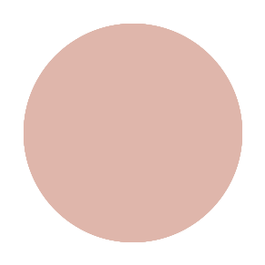 BB Cream Foundation