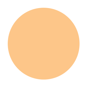#color_C57 liquid concealer