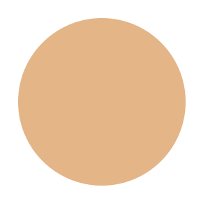hydrating bb cream #color_Light/Medium