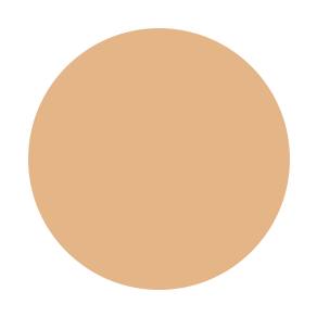 BB Cream Foundation