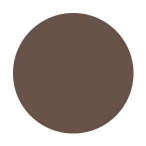 #color_Brunette tinted brow gel