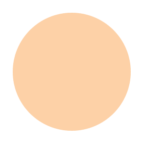 #color_C25 liquid concealer
