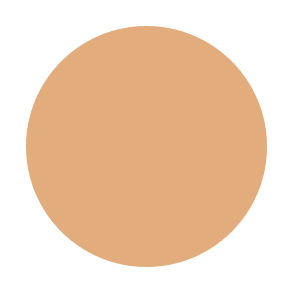 #color_C6 liquid concealer
