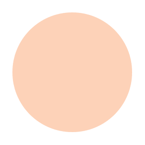 #color_N4 liquid concealer