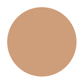 #color_N55 liquid concealer