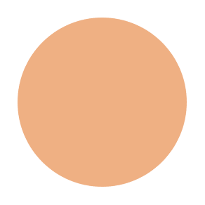 #color_N75 liquid concealer
