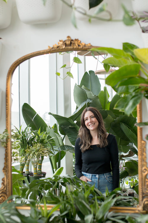 Meet My Friend, Ang Hill