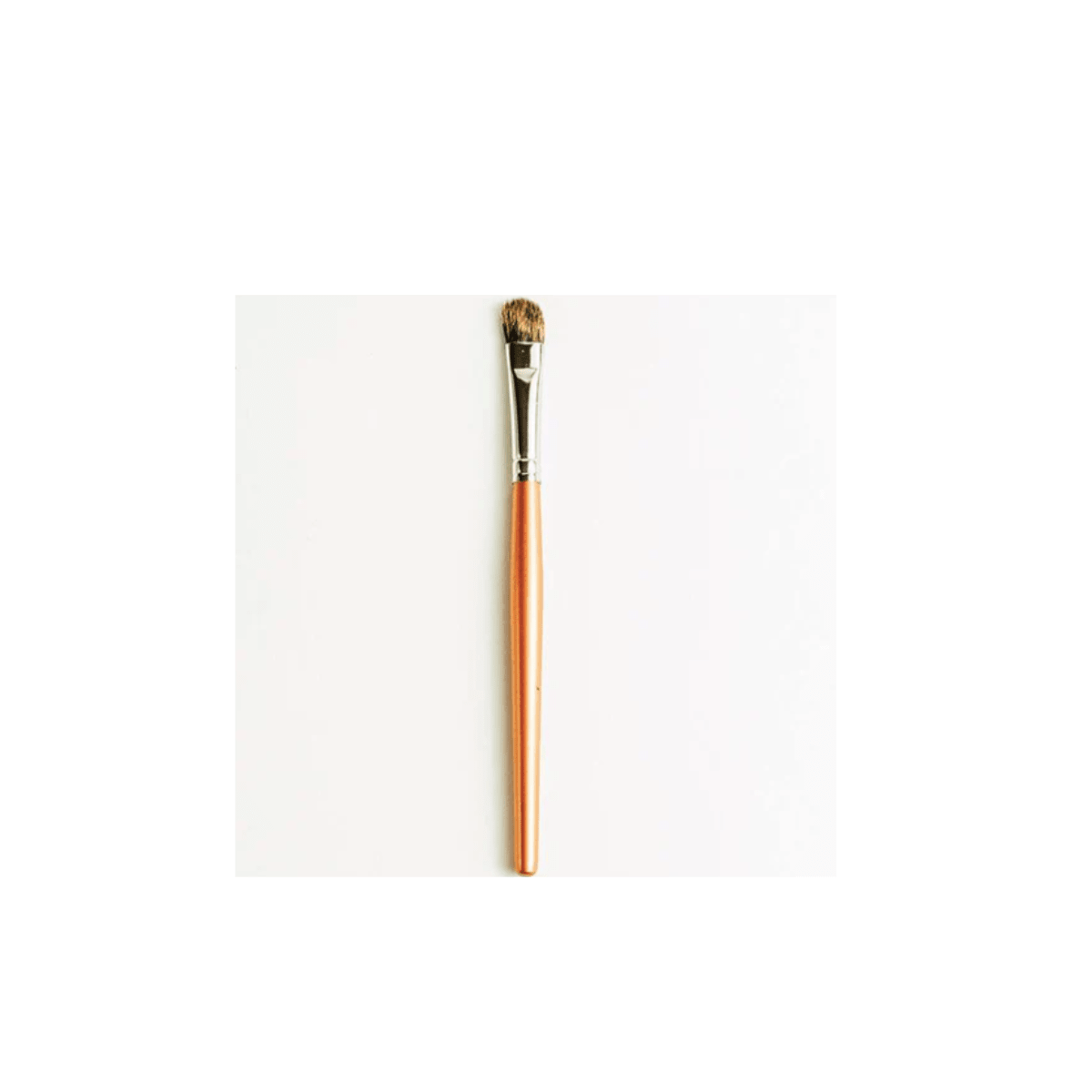 Eye Shader Brush 101 - Tips on using this versatile eyeshadow brush
