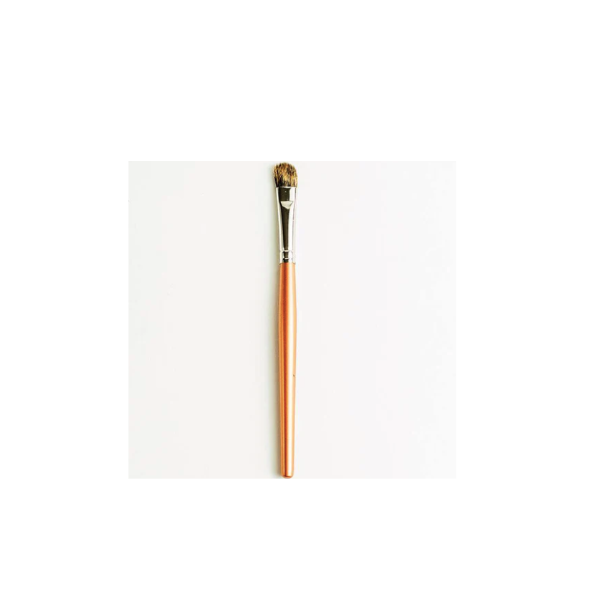 Eye Shader Brush 101 - Tips on using this versatile eyeshadow brush