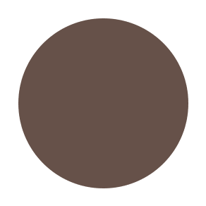 Tinted Brow Gel