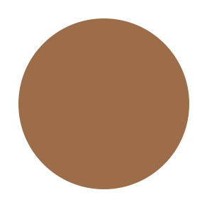 #color_C11